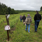 People walking through vineyard.