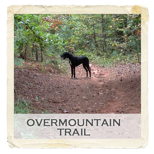 gallery-feature-trail