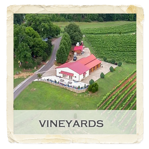gallery-feature-vineyard